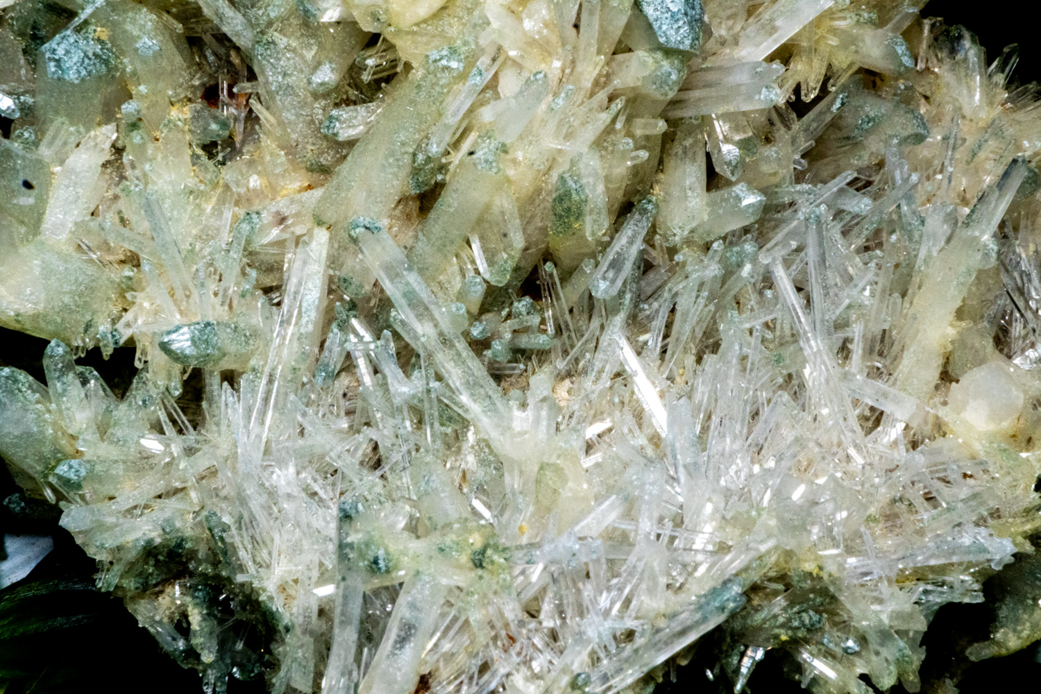 Chlorite Quartz