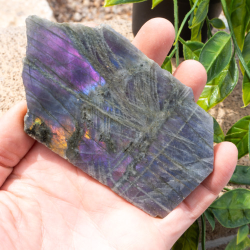 Purple Labradorite Half Polished #12