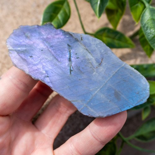 Purple Labradorite Half Polished #10