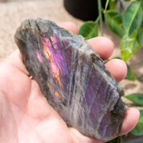 Purple Labradorite Half Polished #11