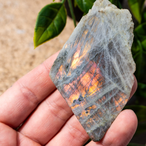 Purple Labradorite Half Polished #8