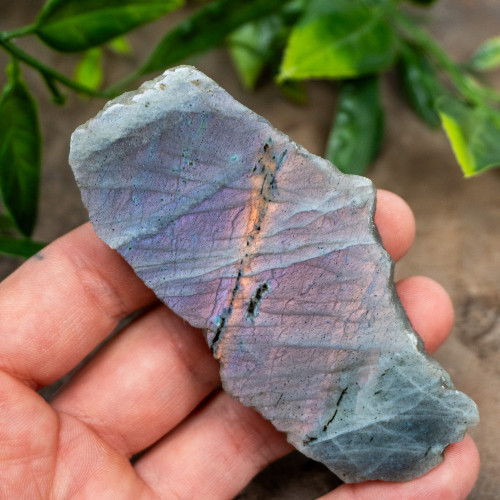 Purple Labradorite Half Polished #6