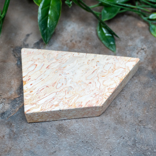 Indonesian Palm Wood #2