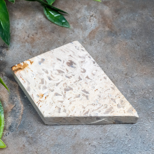 Indonesian Palm Wood #1