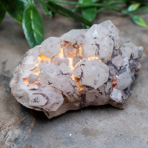 Hollandite in Quartz #3