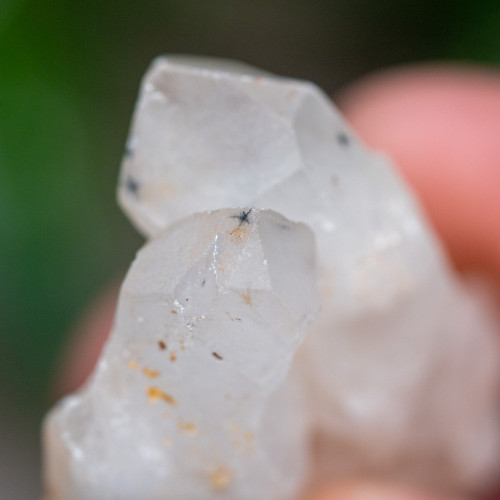 Hollandite in Quartz #1