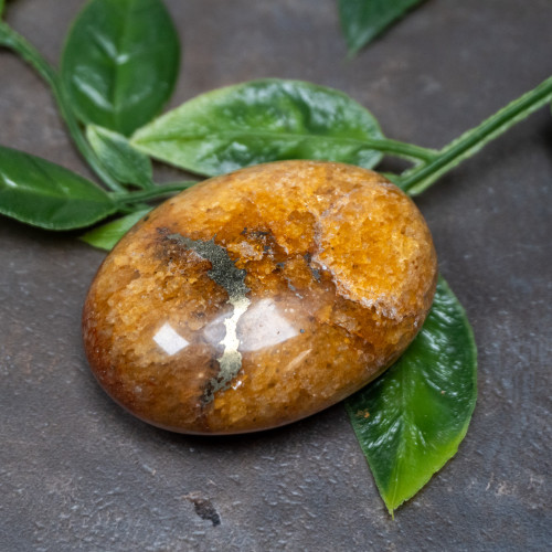 Lion's Gate Quartz Palmstone #3