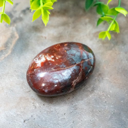 Jaspillite Palmstone #3