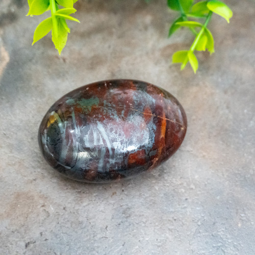 Jaspillite Palmstone #2