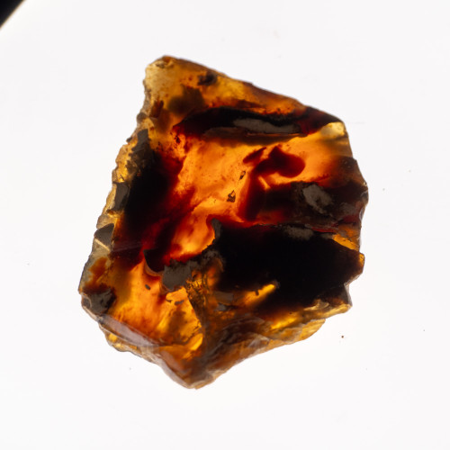 Indonesian Blue Amber Slice #6