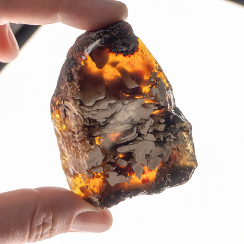 Indonesian Blue Amber Slice #5