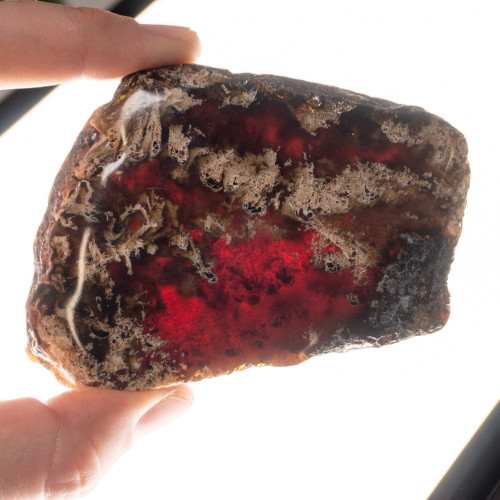 Indonesian Blue Amber Slice #3