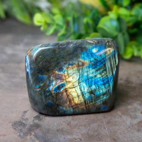 Labradorite Freeform #6