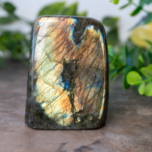 Labradorite Freeform #5