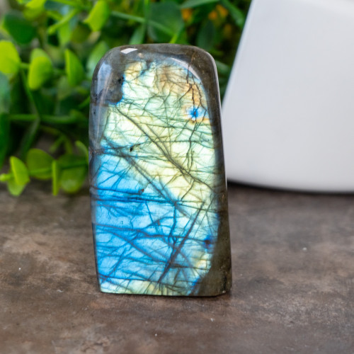 Labradorite Freeform #1