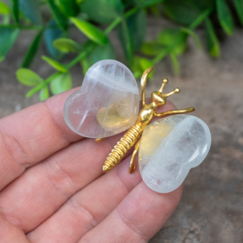 Fluorite Butterfly #4