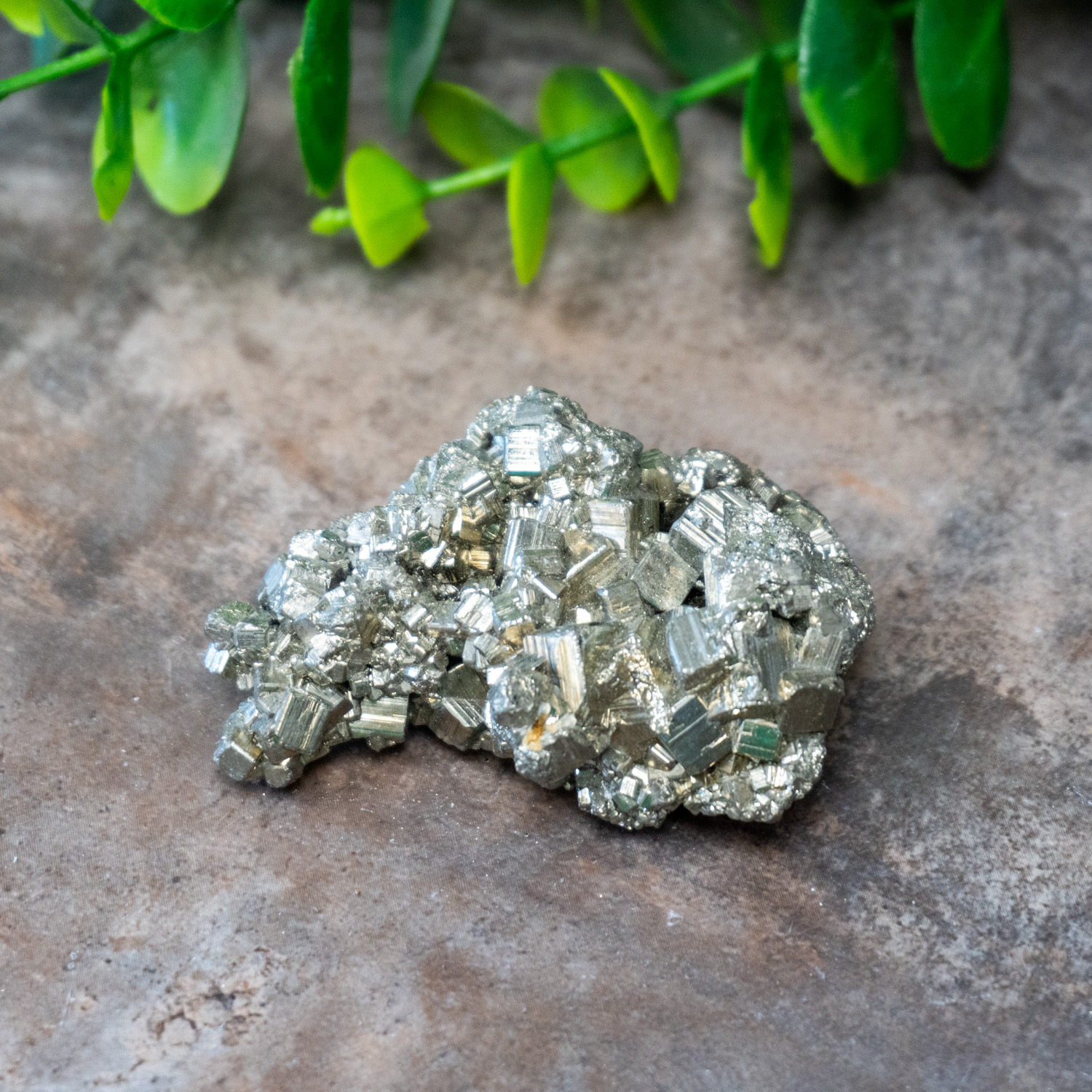 Pyrite #5