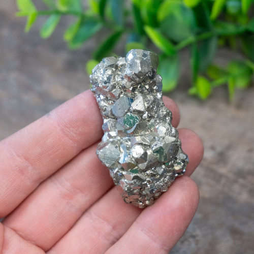 Pyrite #4