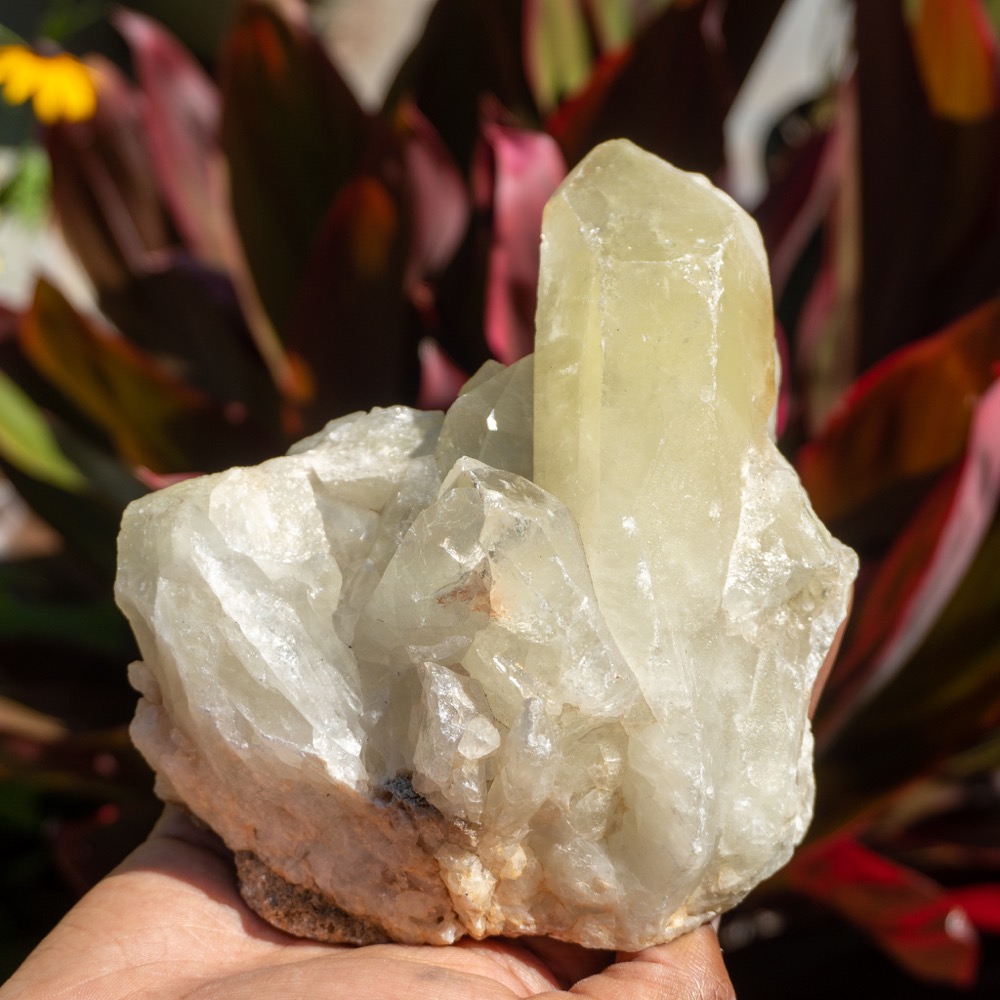 Large Sulfur Quartz Family 1 The Crystal Council