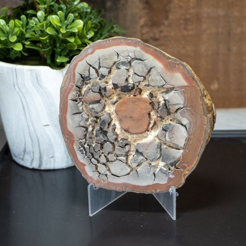 4 Inch Acrylic Mineral Stand