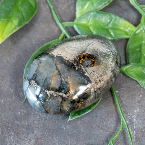 Lion's Gate Quartz Palmstone #10