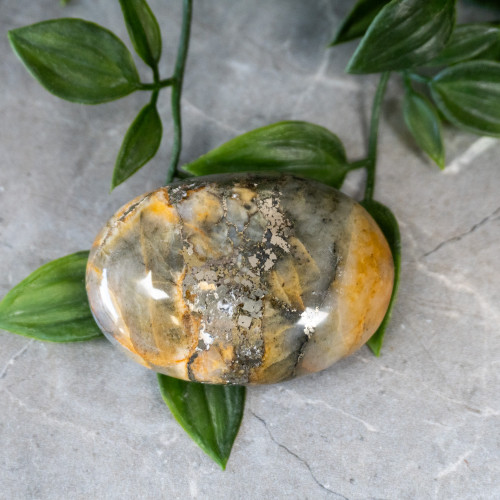 Lion's Gate Quartz Palmstone #4