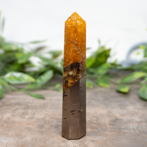 Lion's Gate Quartz Tower #14