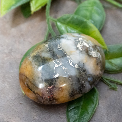 Lion's Gate Quartz Palmstone #12