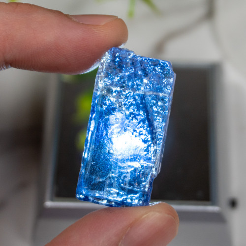 Blue Halite #2