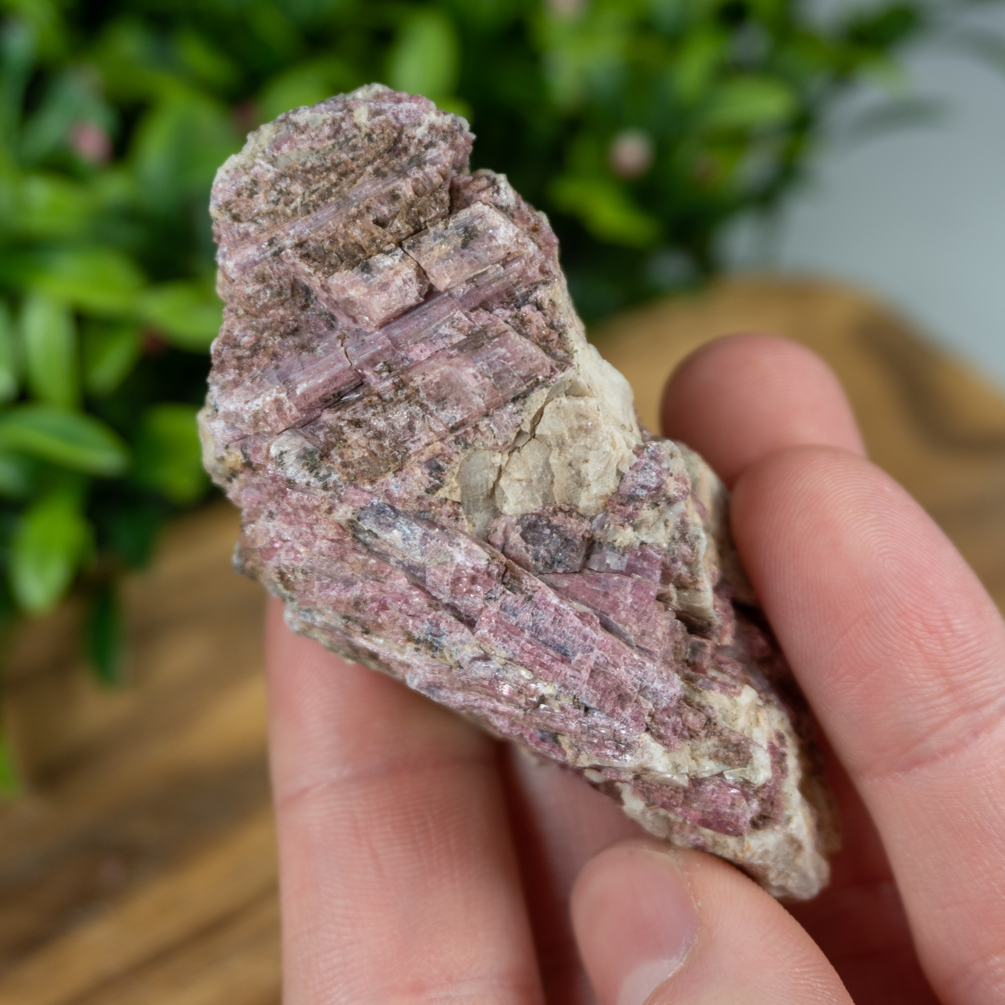 Medium Watermelon Tourmaline 3 The Crystal Council