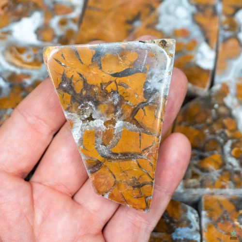 White Brecciated Jasper