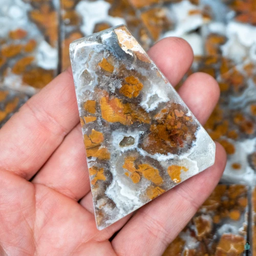 White Brecciated Jasper
