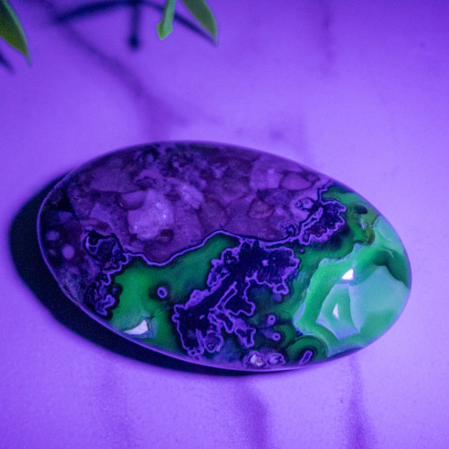 Volcano Agate (UV Reactive) Palmstone #5