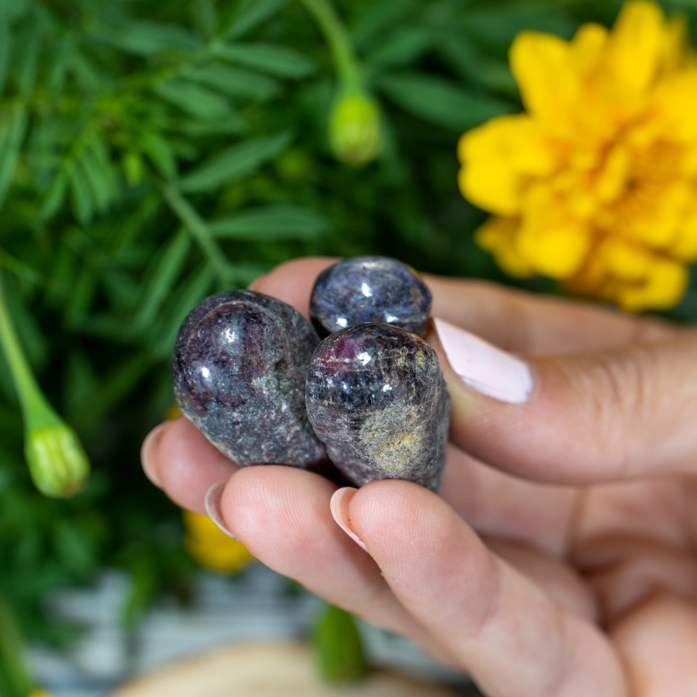 Raw Ruby With Polished Tip - The Crystal Council