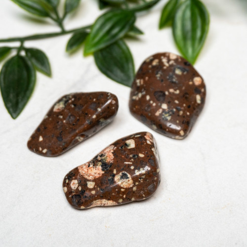 Spotted Jasper Tumbled