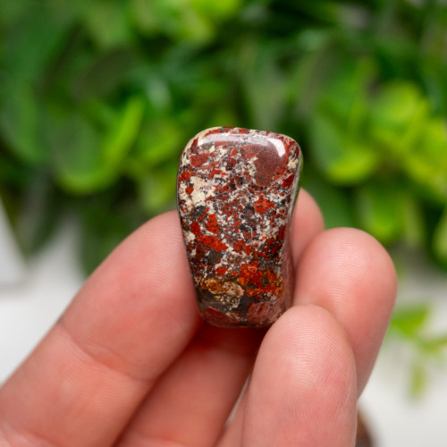 White Brecciated Jasper Tumbled