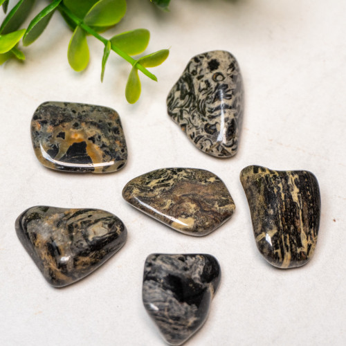 Silver Leaf Jasper Tumbled