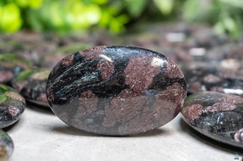 Garnet in Arfvedsonite