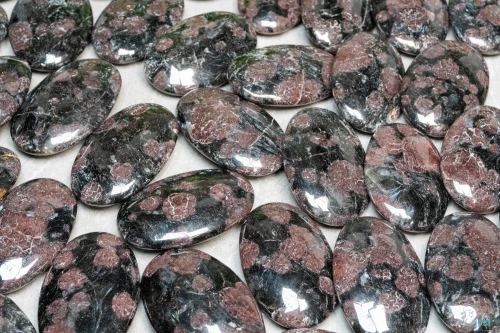 Garnet in Arfvedsonite