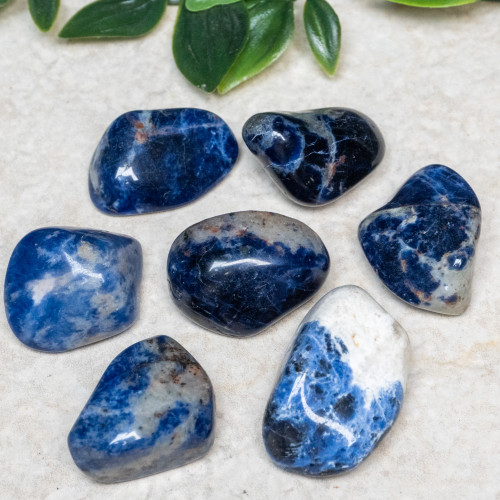 Sodalite Tumbled