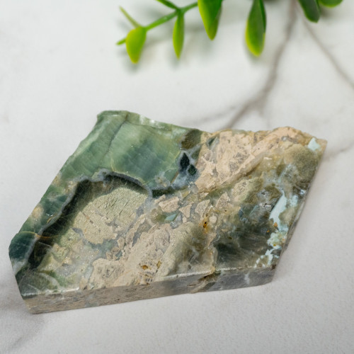 Green Opalized Wood Slice #7
