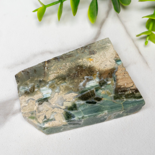 Green Opalized Wood Slice #4