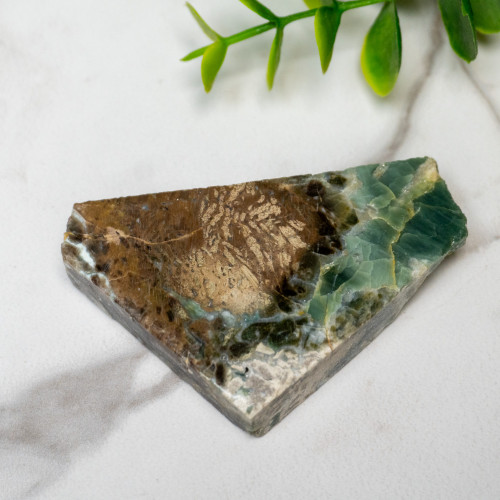 Green Opalized Wood Slice #3