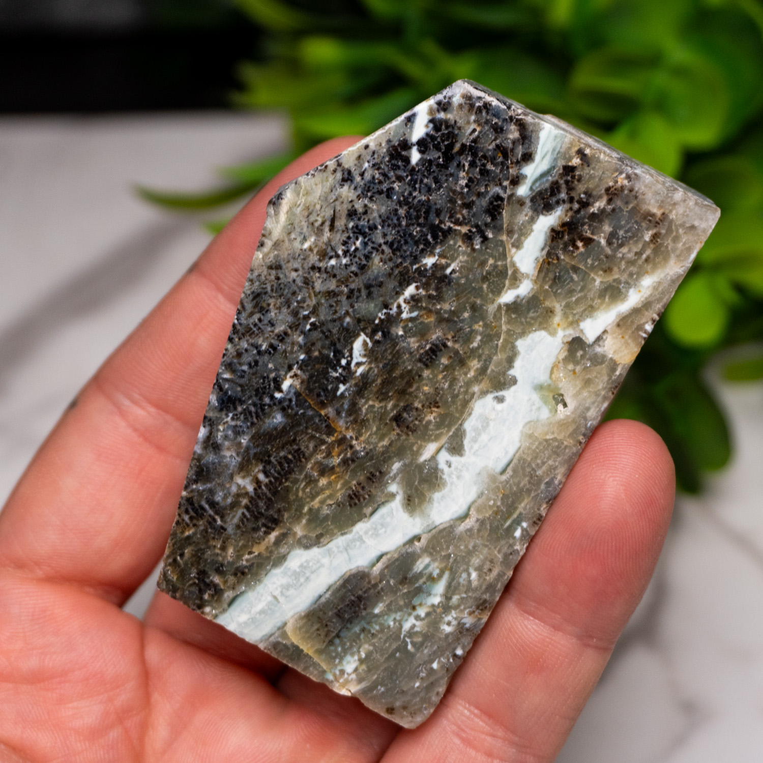 Green Opalized Wood Slice #1