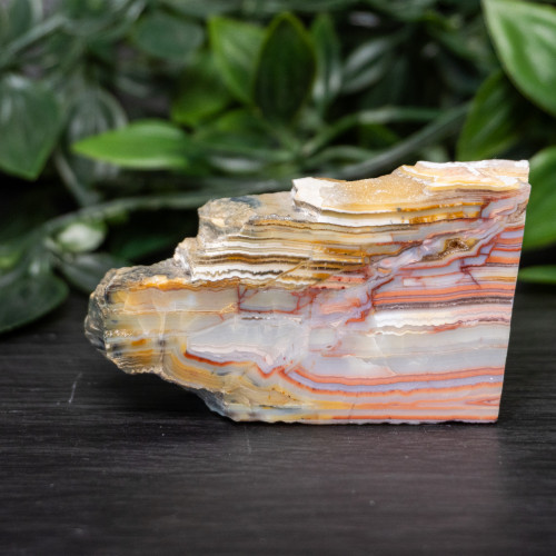 Pink Lace Chalcedony Slice #5