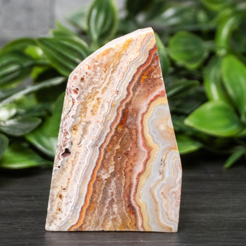 Pink Lace Chalcedony Slice #3