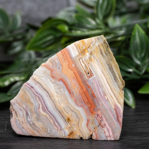 Pink Lace Chalcedony Slice #2