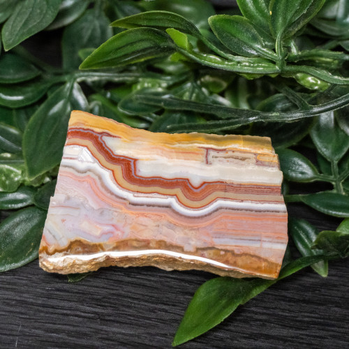 Pink Lace Chalcedony Slice #1