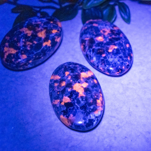 UV Sodalite Palmstone