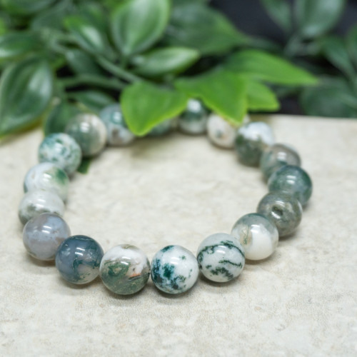 Tree Agate Bracelet 10mm